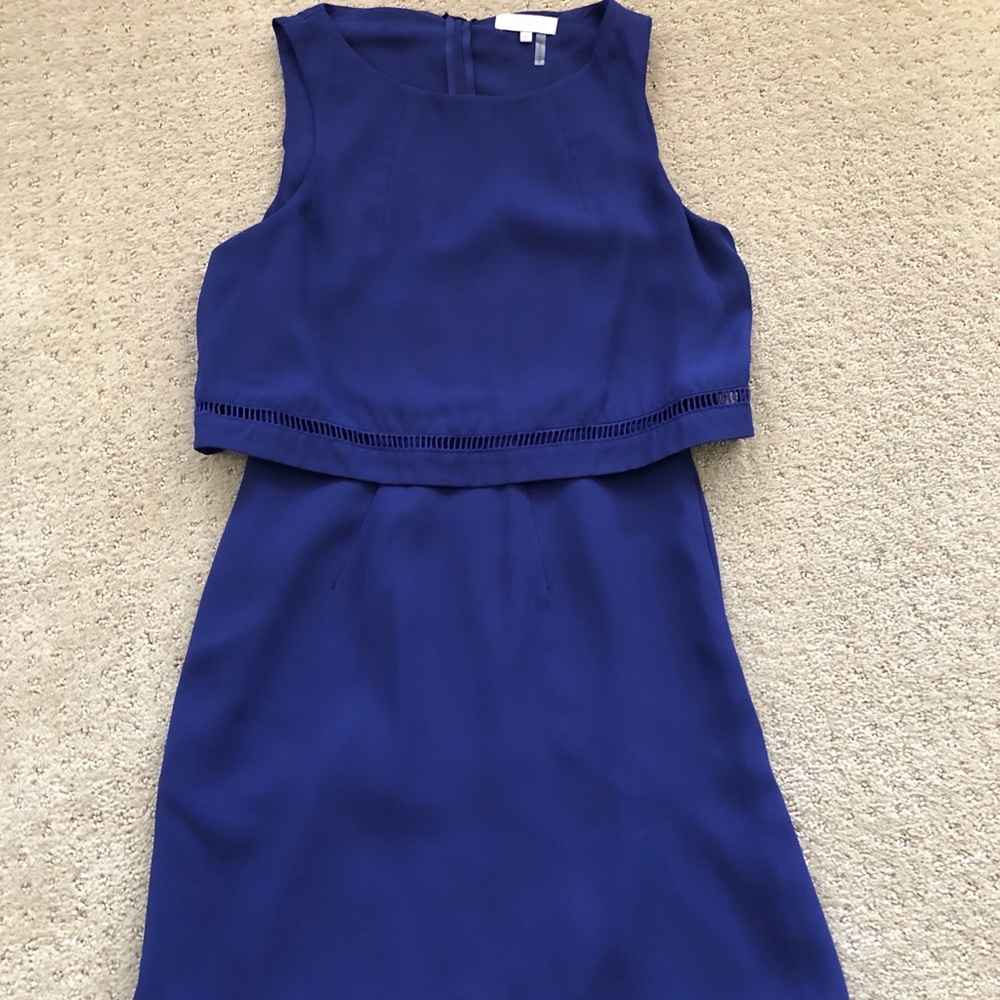 Blue/ Violet Dress